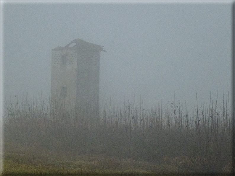 foto Pedemontana Veneta nella nebbia